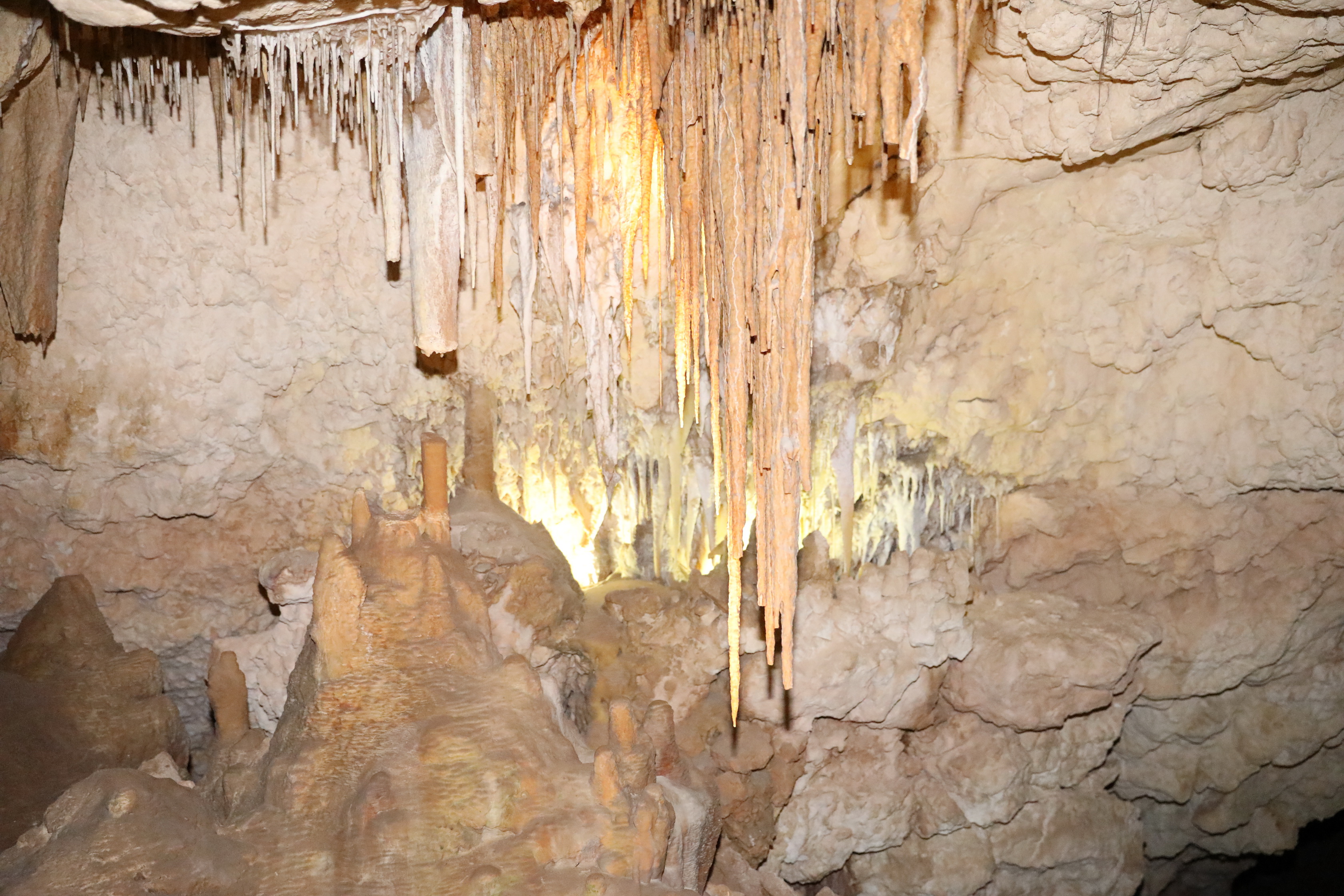 2019 09 30 12 13 41 Canon EOS 5D Mark IV 0001